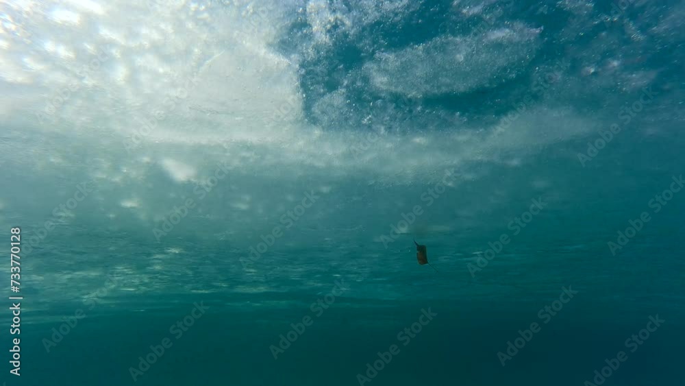 Panorama of ice with an autumn leaf floating underneath, Underwater view, Slow motion. Autumn tree leaf slowly drifts below surface of ice Panorama of ice with an autumn leaf floating underneath, Underwater view, Slow motion. Autumn tree leaf slowly drifts below surface of ice