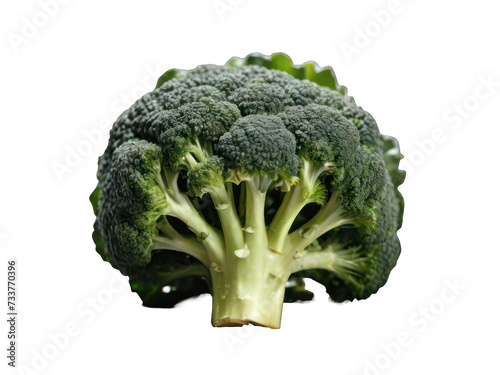 Fresh Organic Broccoli on White Background - Healthy Green Vegetable for a Nutritious Diet