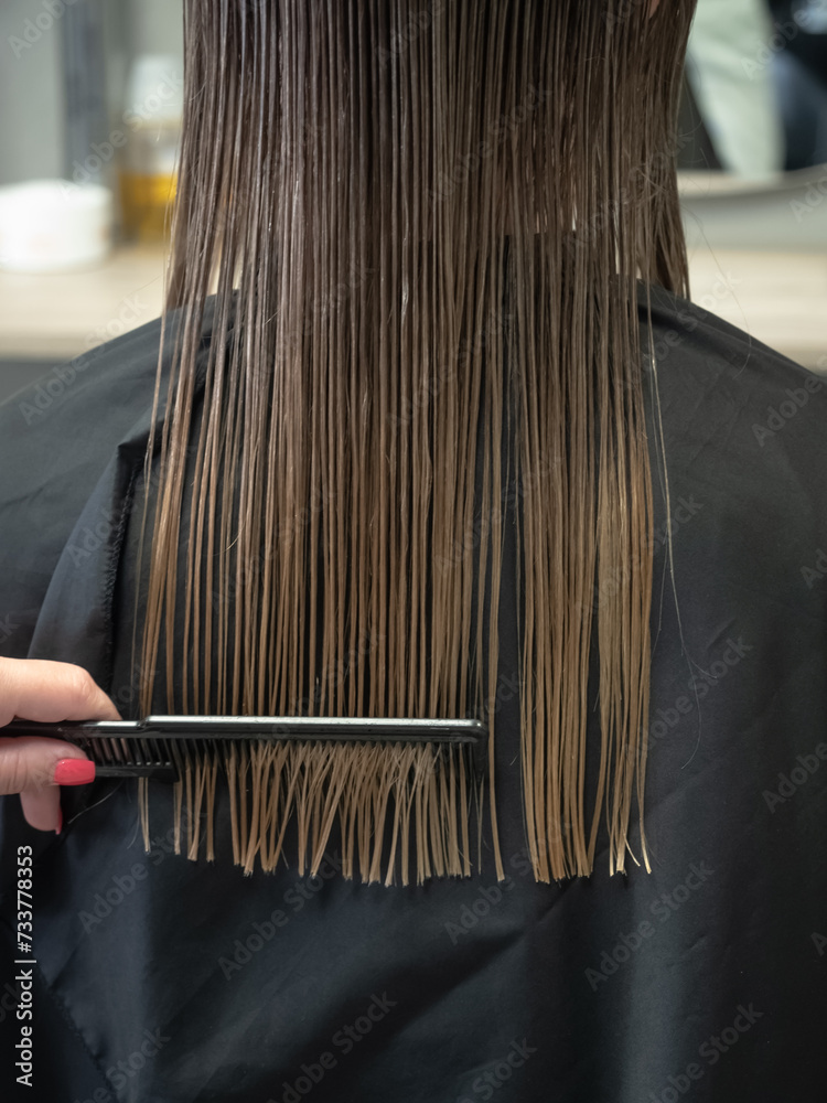 Naklejka premium Hairdresser combs smooth wet hair