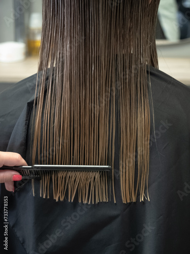 Hairdresser combs smooth wet hair