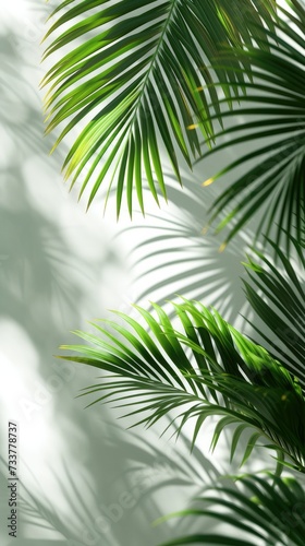 A palm leaves against grey background  in the style of light white and light emerald. Generative AI.