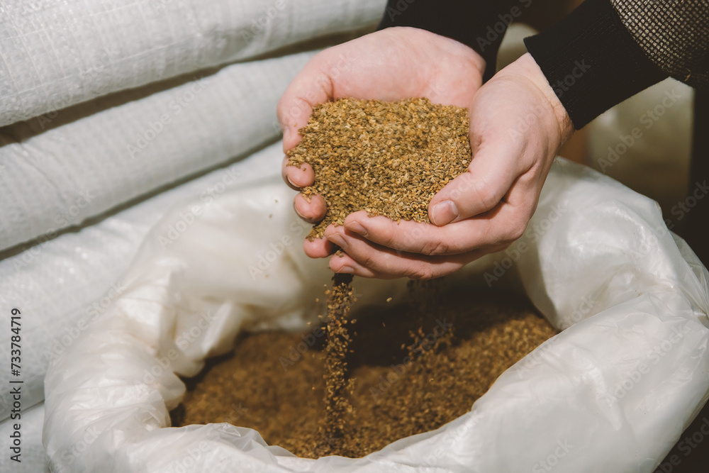 The palms of the hands are full of radish seeds. The palms are over the seed bag. The palms of the hands are full of radish seeds. The palms are over the seed bag.