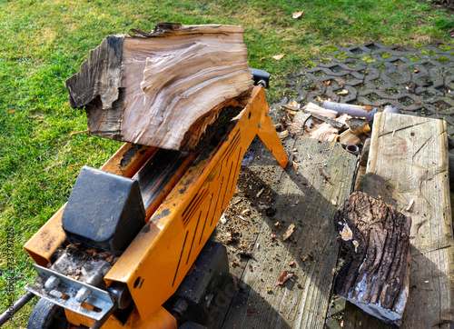 Splitting firewood with a log splitter in the garden photo