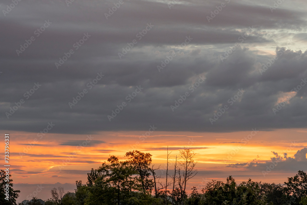 Naklejka premium Alençon, France - 08 18 2023: Sky Background. Detail view of a cloudscape with colored clouds and trees at sunrise.