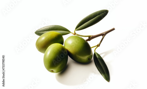 olive with leaf isolated