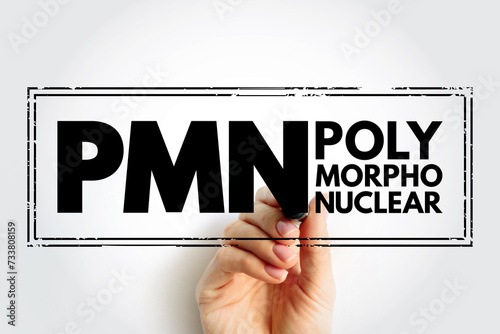 PMN PolyMorphoNuclear - having a nucleus with several lobes and a cytoplasm that contains granules, as in an eosinophil or basophil, acronym text concept stamp photo