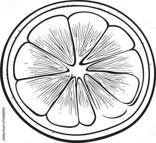 lemon, lime icon set vector illustration