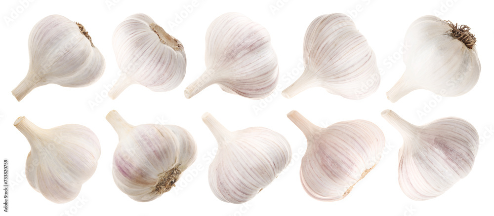 Fresh garlic bulbs isolated on white, set