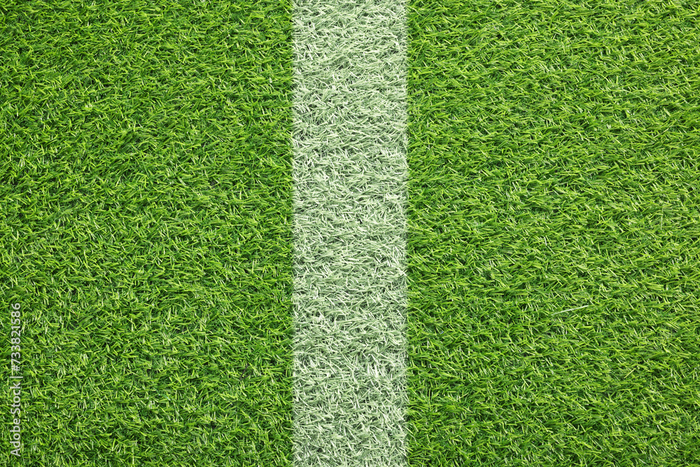 Fototapeta premium Green grass with white marking, top view