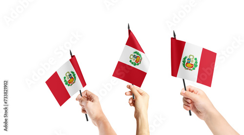 A group of people are holding small flags of Peru in their hands. photo