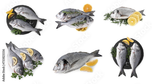Raw dorada fish isolated, lemon and spices on white, set