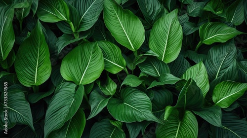 Regal Dark Green Foliage Pattern