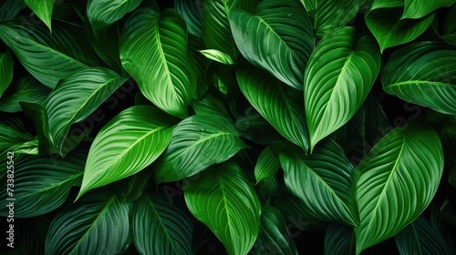 Stylish Dark Green Leafy Pattern