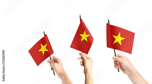 A group of people are holding small flags of Vietnam in their hands. ©  minionionniloy