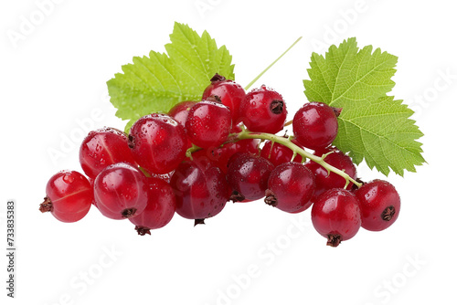 Currant I Chronicles on Transparent Background, PNG, Generative Ai