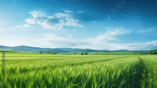 agriculture farm field background