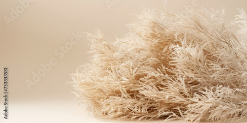 Dried flowers and dry grass on flat pastel beige background with copy space. Backdrop for banner.