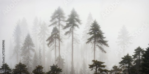 AI generated illustration of a landscape capturing the forest fog dancing through the forest trees