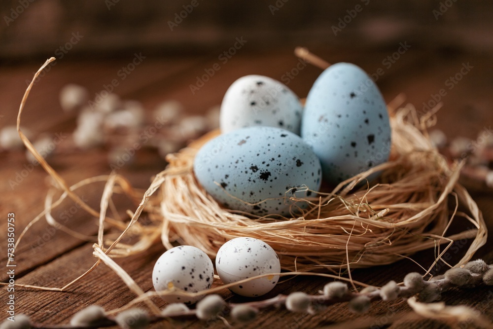 Obraz premium Easter concept, colored eggs in nest with willow