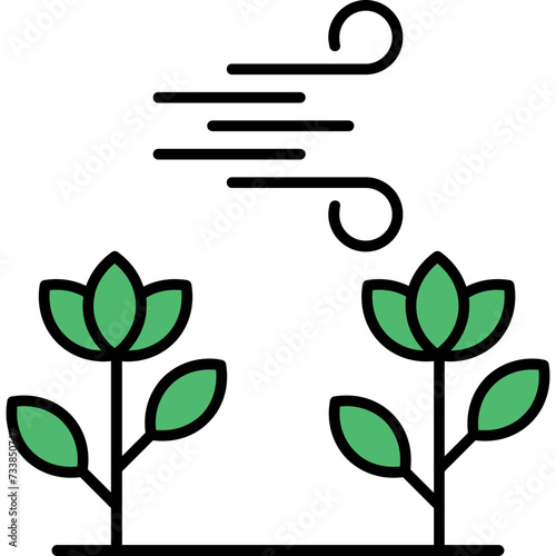 Photosynthesis Icon