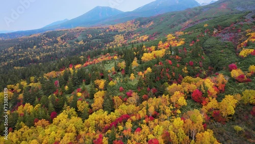 Cinematic aerial shot of autumn leaves on slopes of Mount Tokachi in Hokkaido, Japan