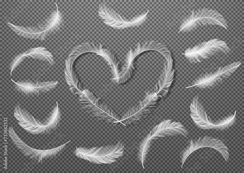 Big Set of White Realistic Different Fluffy Twirled Falling Feathers Isolated on Transparency Grid Background. Feathers collected in the shape of a heart. Vector illustrtion