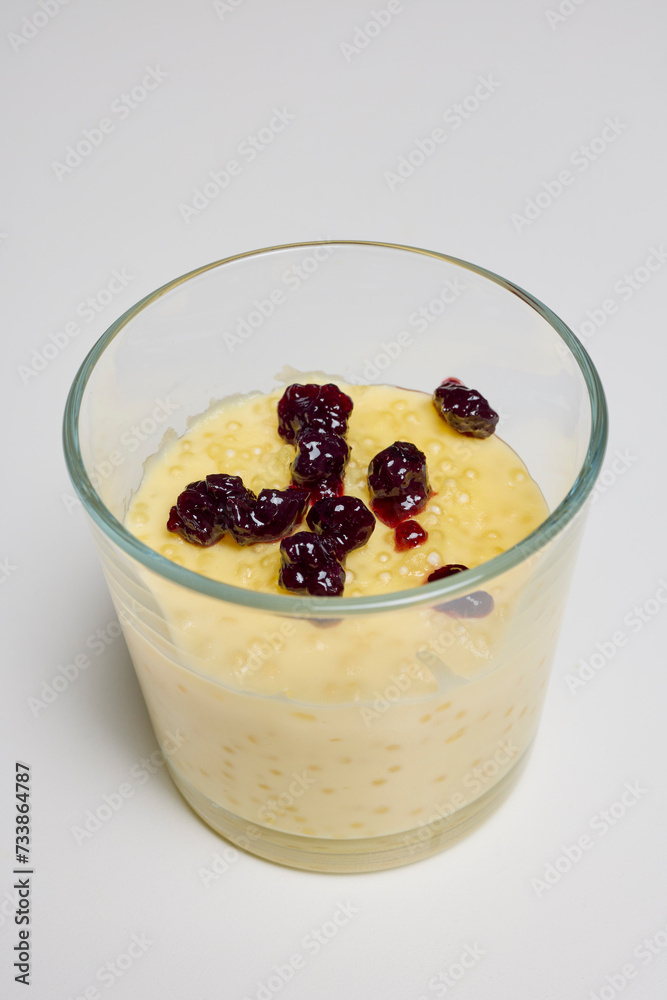 a glass bowl with dessert, tapioca pudding with vanilla and blueberry jam. a glass bowl with dessert, tapioca pudding with vanilla and blueberry jam.