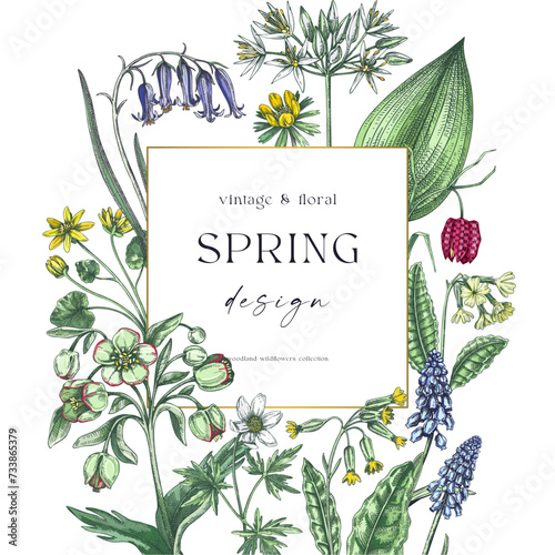 Spring wreath design. Wildflower sketches Floral cards, wedding invitations, wild flower background. Hand-drawn vector illustration, NOT AI-generated