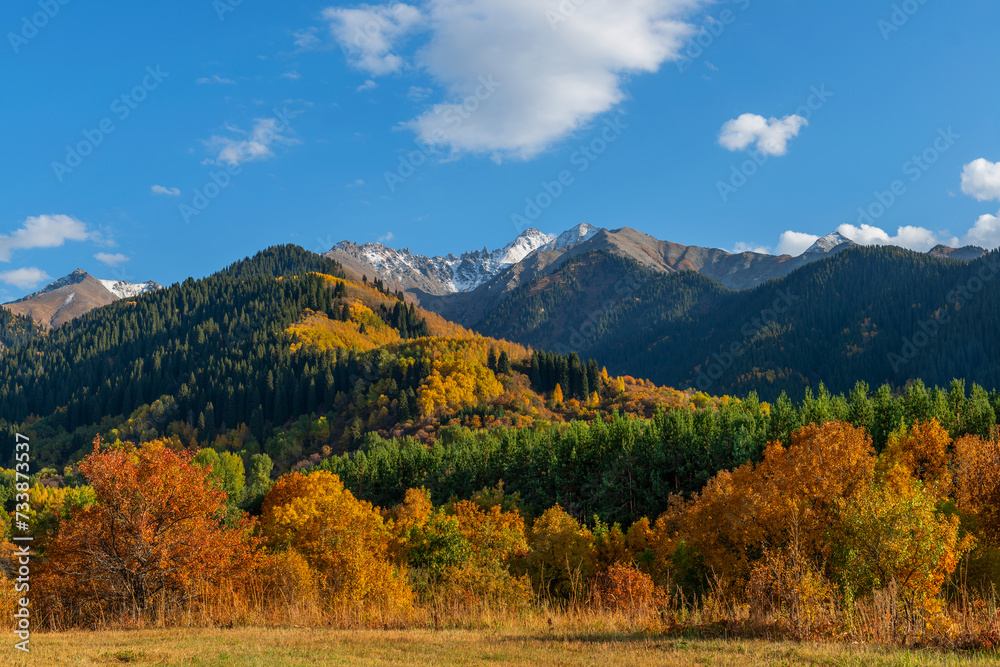 Trees with autumn foliage on the slopes of the Zailiyskiy Alatau mountains in Kazakhstan