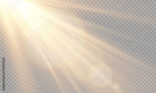 Light Vector with Sun Glare. Sun  Sunrays  and Glare in PNG Format. Gold Flare and Glare.  