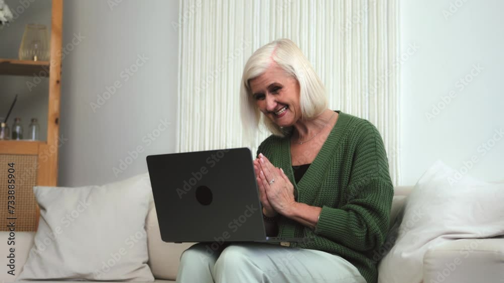 Overjoyed senior adult woman talk to friend relative child by videocall using laptop smile wave hand share good news looking at screen. Happy older granny enjoy nice virtual conversation Overjoyed senior adult woman talk to friend relative child by videocall using laptop smile wave hand share good news looking at screen. Happy older granny enjoy nice virtual conversation
