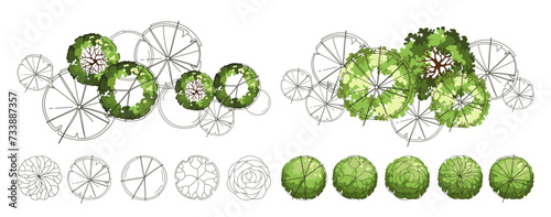Tree for architectural floor plans. Entourage design. Various trees, bushes, and shrubs, top view for the landscape design plan. Vector illustration.