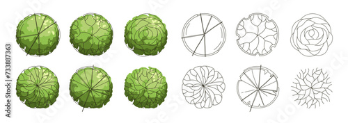 Tree for architectural floor plans. Entourage design. Various trees, bushes, and shrubs, top view for the landscape design plan. Vector illustration.