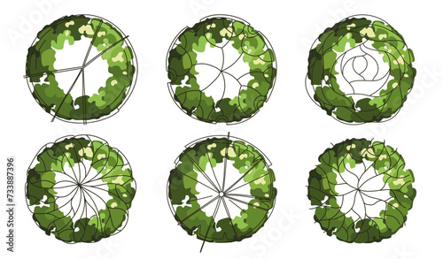Tree for architectural floor plans. Entourage design. Various trees, bushes, and shrubs, top view for the landscape design plan. Vector illustration.