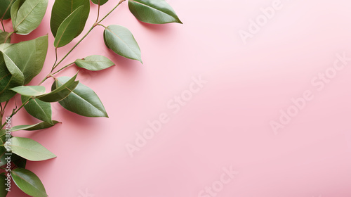 Summer modern composition. Laurel green leaves on a pastel pink background. Flat lay, top view, copy space, banner for your design