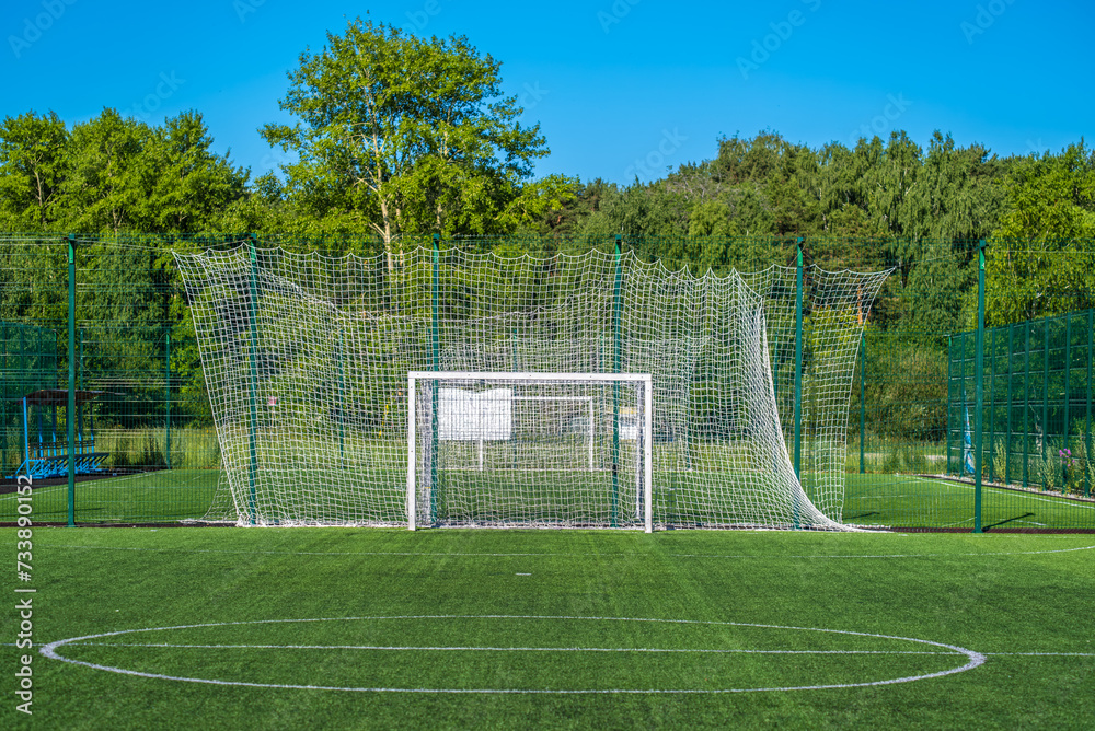 Fototapeta premium A football field in the woods in summer.