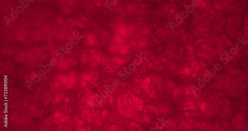 Red web under a microscope. Moving spider web. Vibrating thriller web under a scope. Abstract background under microscope. A lot of stranger things strings under extreme close-up. Creepy microworld.