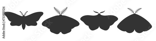 Set of four moths silhouettes. Simple black shapes of insects. Icons, tattoos, vector illustration