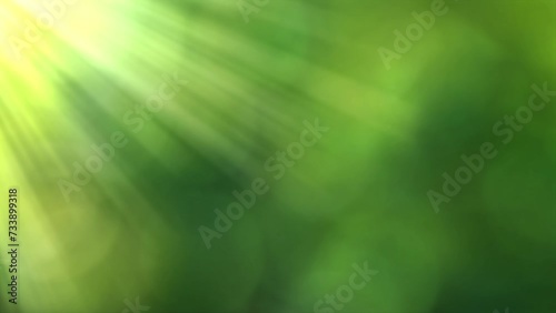 abstract slow motion sunrise in spring meadow, fresh green empty springtime awakening background with sunbeams and copy space, landscape nature scene backdrop for product display