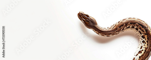 Snake crawling on white background, ai  technology