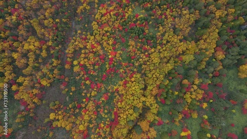 Cinematic aerial shot of autumn leaves on slopes of Mount Tokachi in Hokkaido, Japan photo