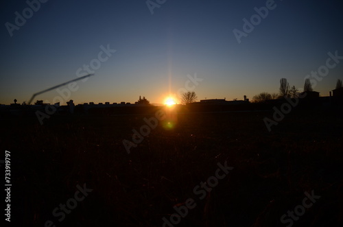 alba in un campo 