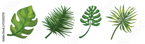 Tropical Exotic Green Leaves and Foliage Vector Set