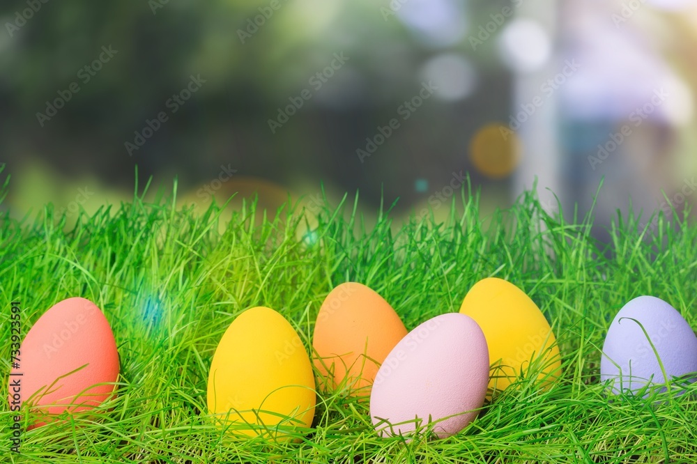 Colorful Easter Eggs on Spring Background