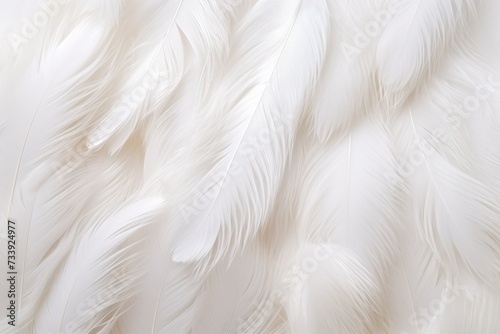 Feathers background for peace calm, Closeup, white and feathers background for spirituality for God, religion and hope, Ai generated