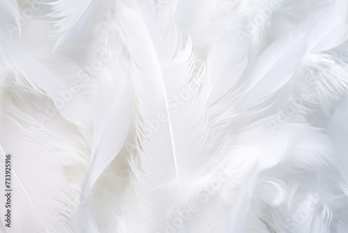 Feathers background for peace calm, Closeup, white and feathers background for spirituality for God, religion and hope, Ai generated