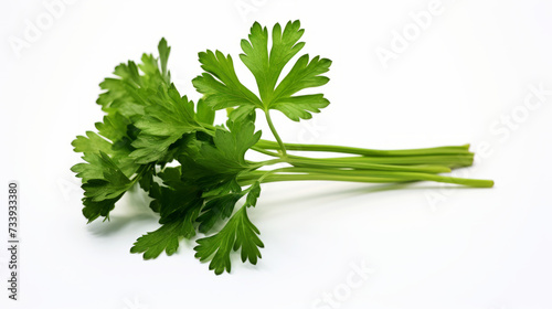 Fresh parsley on white background perfect for healthy cooking concepts