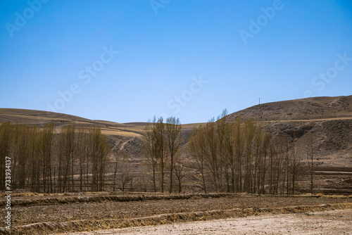 Shandan Military Horse Farm, Zhangye City, Gansu Province - Road under the snowy mountains of Qilian Mountains photo