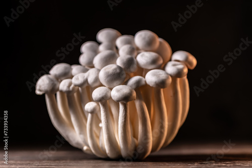 Closeup of a bunch of shimeji mushrooms on dark background, with selective focus