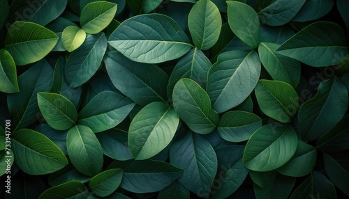 Green leaves background. Natural pattern and texture for graphic design or wallpaper.